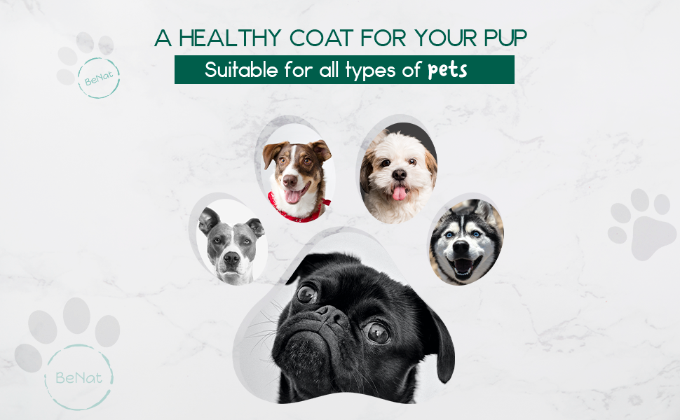 BeNat Pets: All-Natural Pet Shampoo Bar